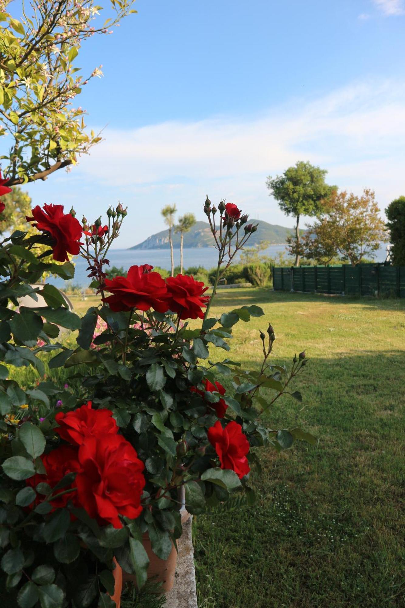 Iraklitsa View Daire Nea Iraklitsa Dış mekan fotoğraf